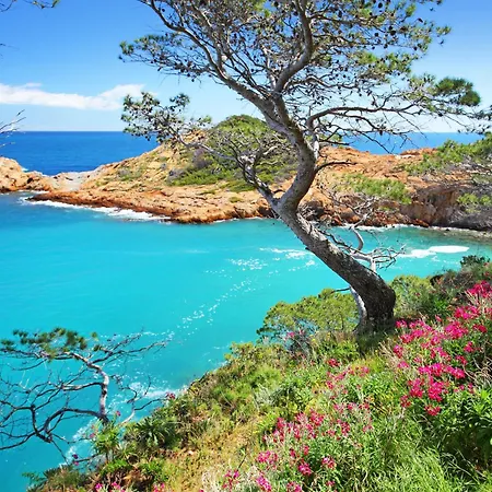 Sa Riera Bonita By Interhome Begur